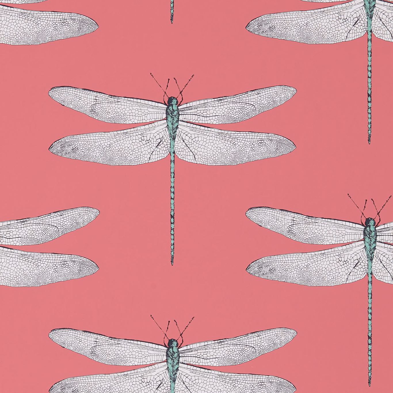 HARLEQUIN Demoiselle Wallpaper Other Coral,Mint  Rotary/Gravure Wallpaper - HGAT111245