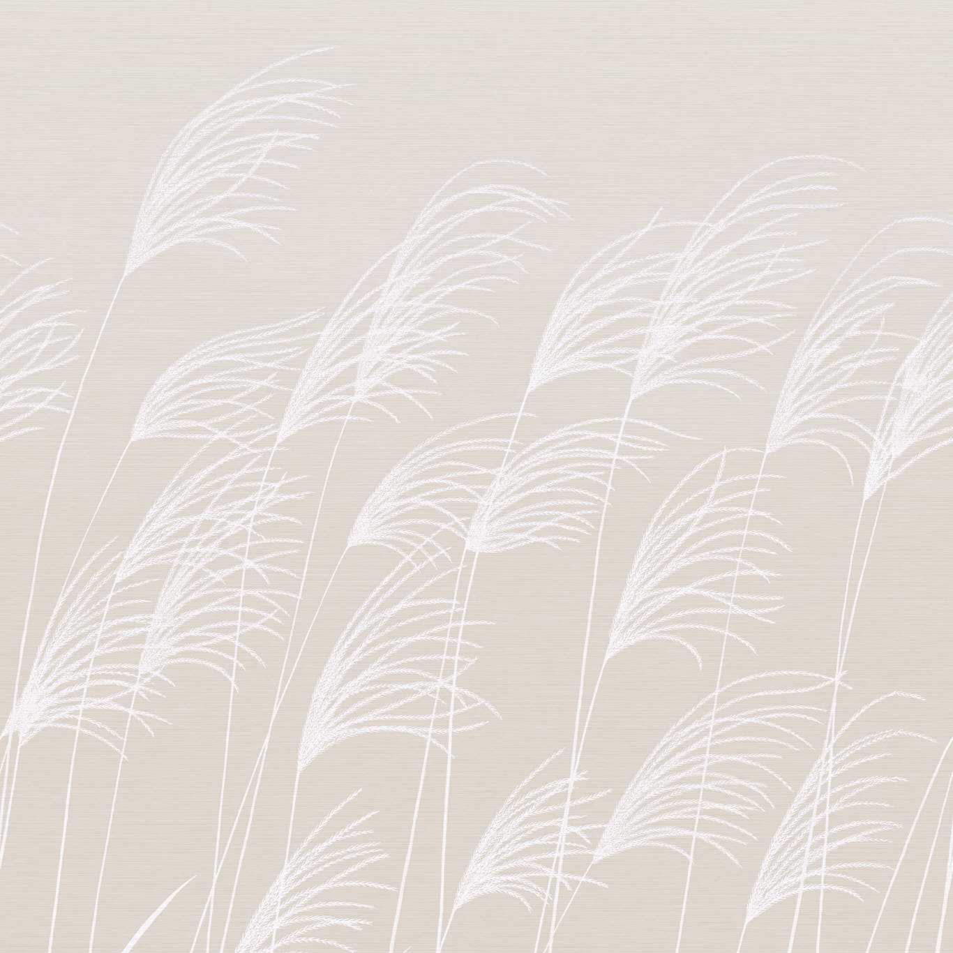 HARLEQUIN Miscanthus Wallpaper Leaves , Trees Parchment,Frost  Gravure - Wide Width - HKAW113231