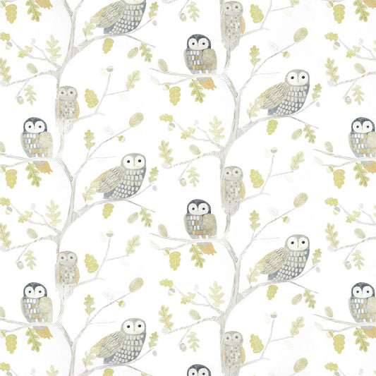 HARLEQUIN Little Owls Wallpaper Leaves , Trees Kiwi  Gravure Printed Wallpaper - HLTF112627