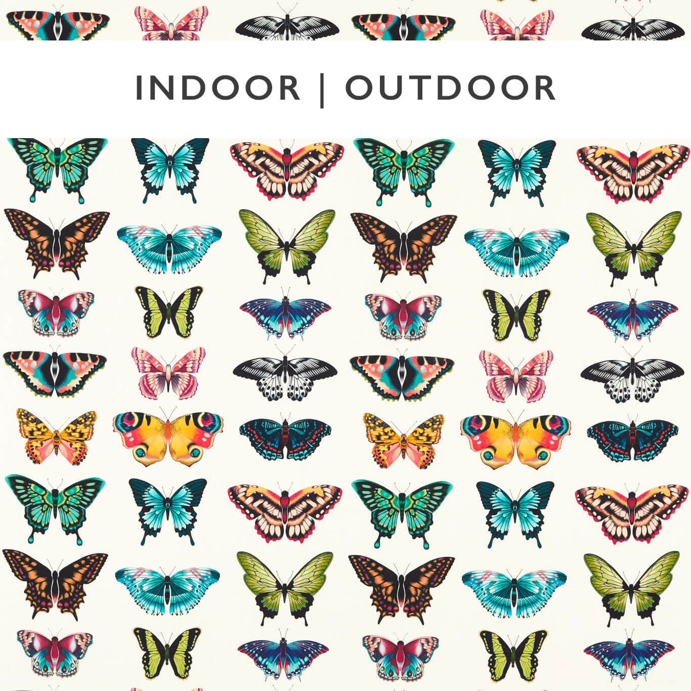 HARLEQUIN Papilio Fabric Other Flamingo,Papaya,Loganberry   - HLUM121051