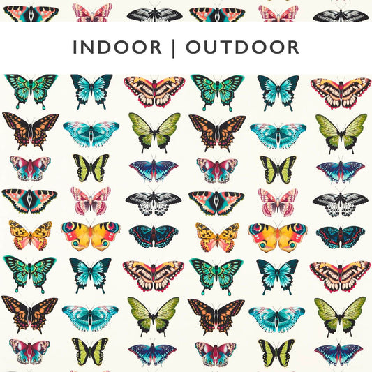 HARLEQUIN Papilio Fabric Other Flamingo,Papaya,Loganberry   - HLUM121051