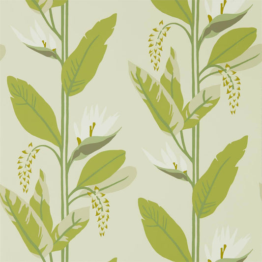 HARLEQUIN Llenya Wallpaper Contemporary, Floral Lime,Jade,Pebble  Rotary/Gravure Wide Width Printed Wallpaper - HMIW112238