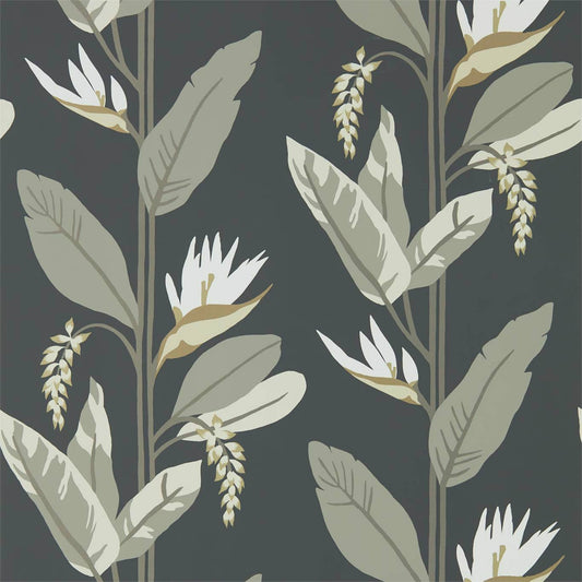 HARLEQUIN Llenya Wallpaper Contemporary, Floral Jet,Stone,Gold  Rotary/Gravure Wide Width Printed Wallpaper - HMIW112256