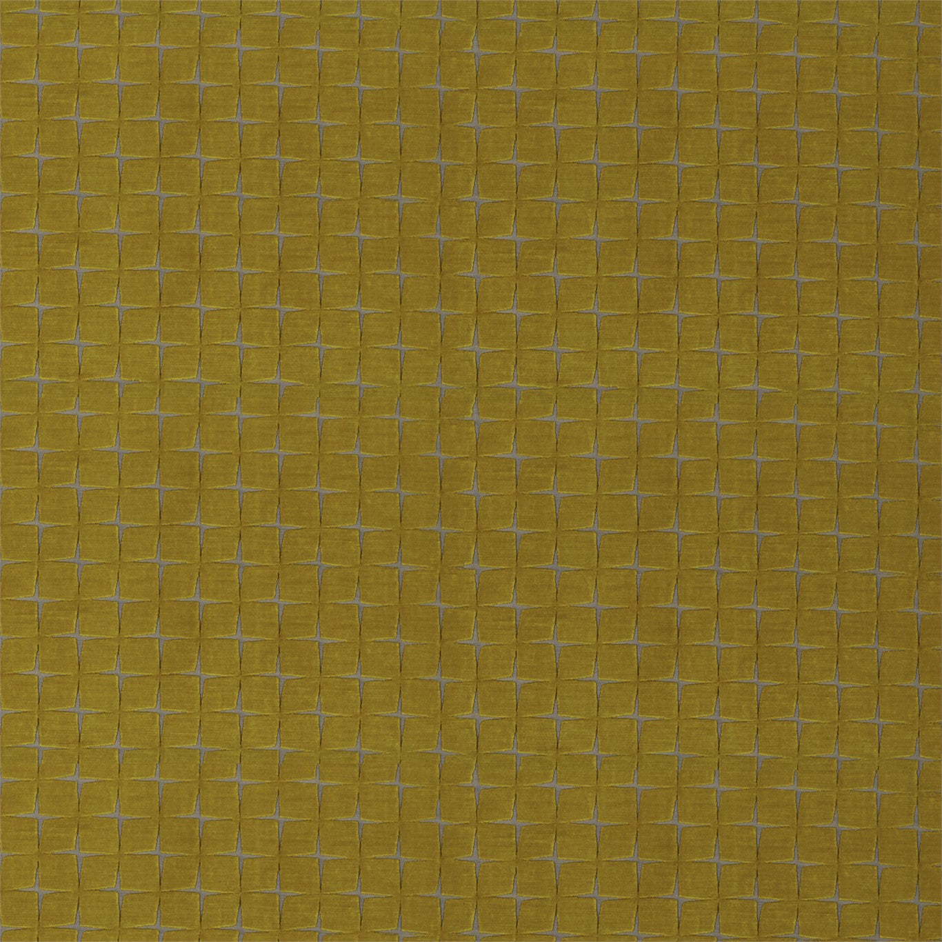 HARLEQUIN Issoria Fabric Other Ochre   - HMON132256