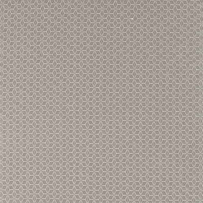 Taupe fabric with pale geometric hex/star motif; subtle repeating pattern for modern interiors.