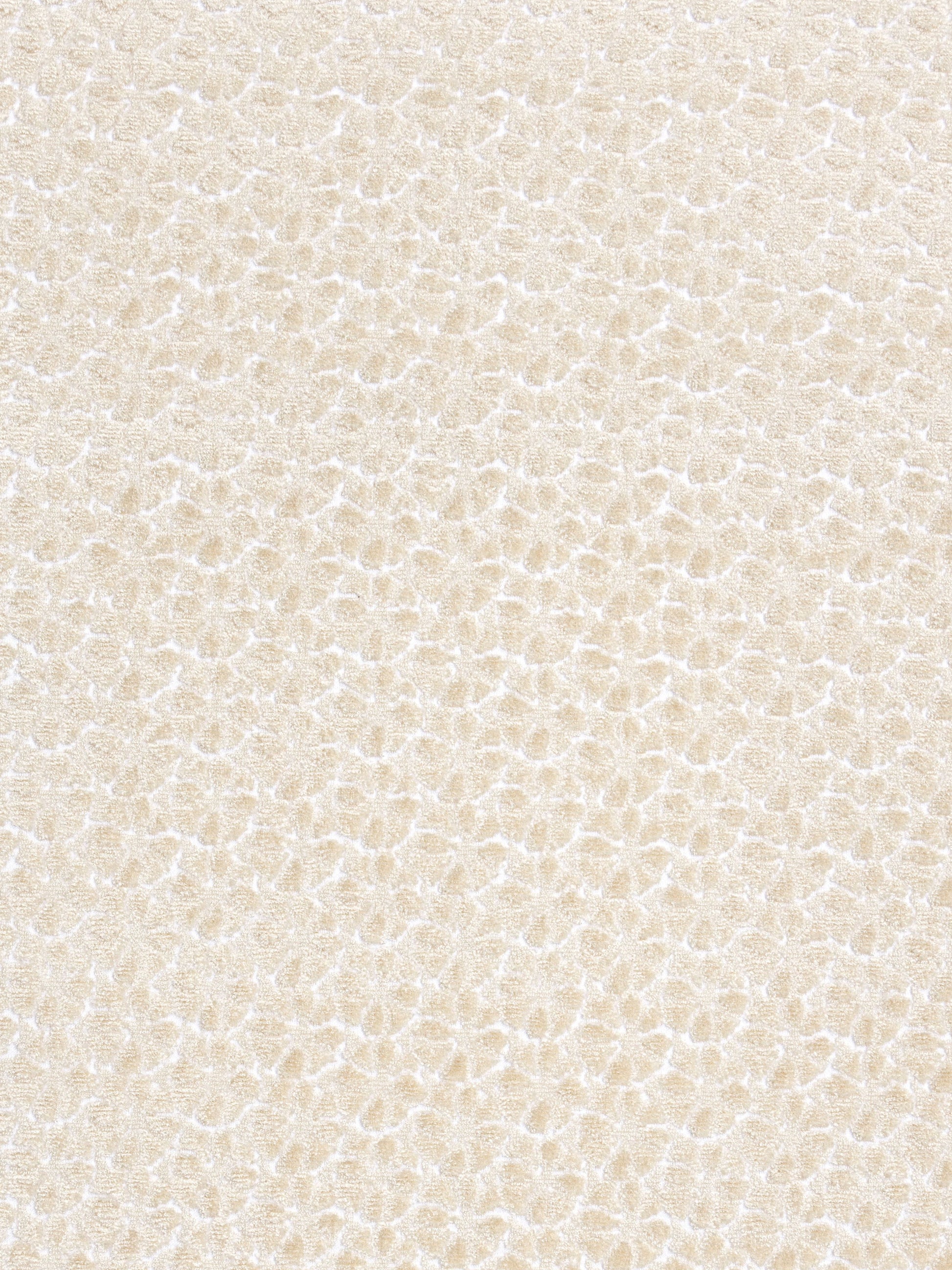 Cream beige pebble-textured leather surface close-up.