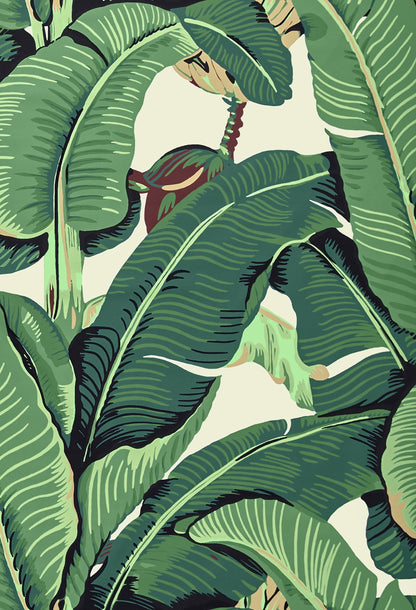 SCALAMANDRE  HINSON PALM - COTTON PRINT FABRIC GREEN   - HN 000142010 NEW SKU # HN420100001