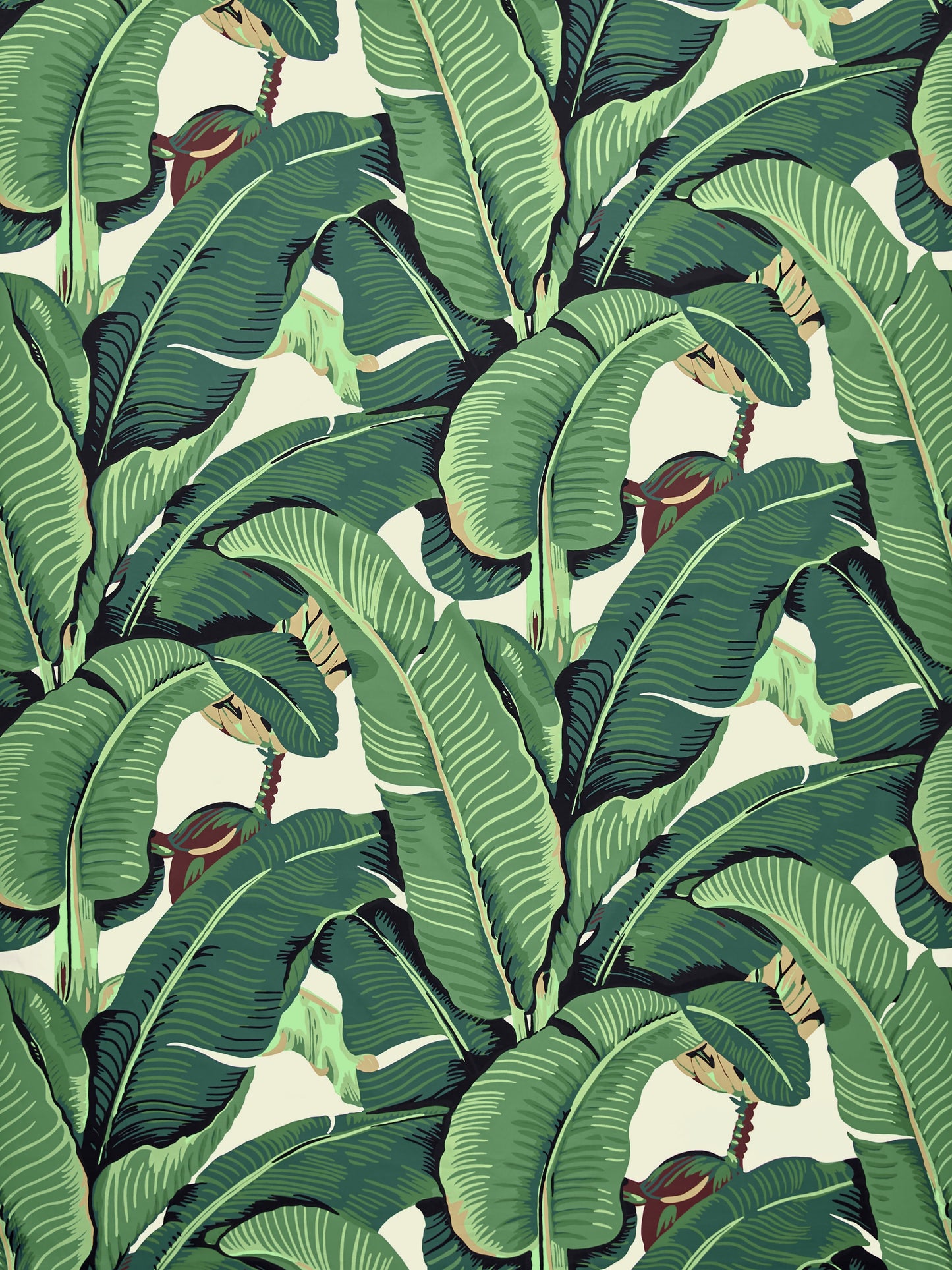 SCALAMANDRE  HINSON PALM - COTTON PRINT FABRIC GREEN   - HN 000142010 NEW SKU # HN420100001