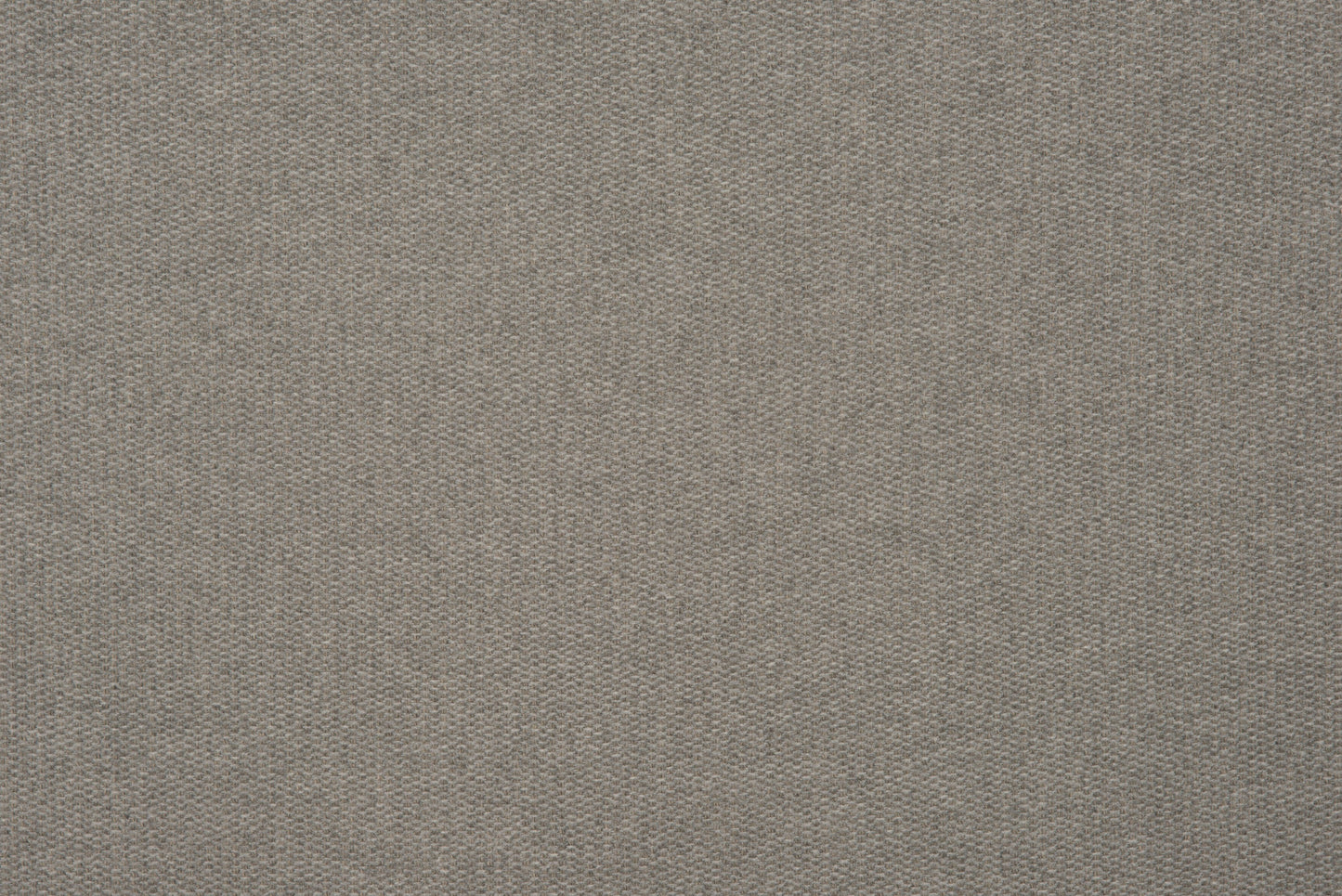 SCALAMANDRE OUTLET  FABRIC MORGAN  FABRIC GREY   - HN 000642015