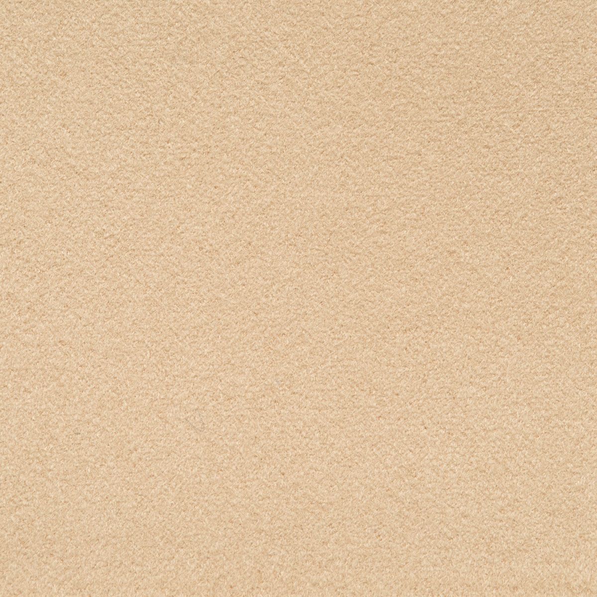 SCALAMANDRE OUTLET  FABRIC HINSON SUEDE  FABRIC SAND   - HN 00AGW0840