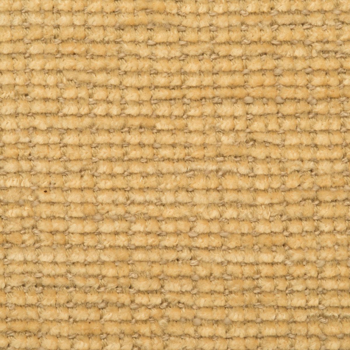 SCALAMANDRE OUTLET  FABRIC TIBURON CHENILLE  FABRIC GOLD   - HN 00YYW0393