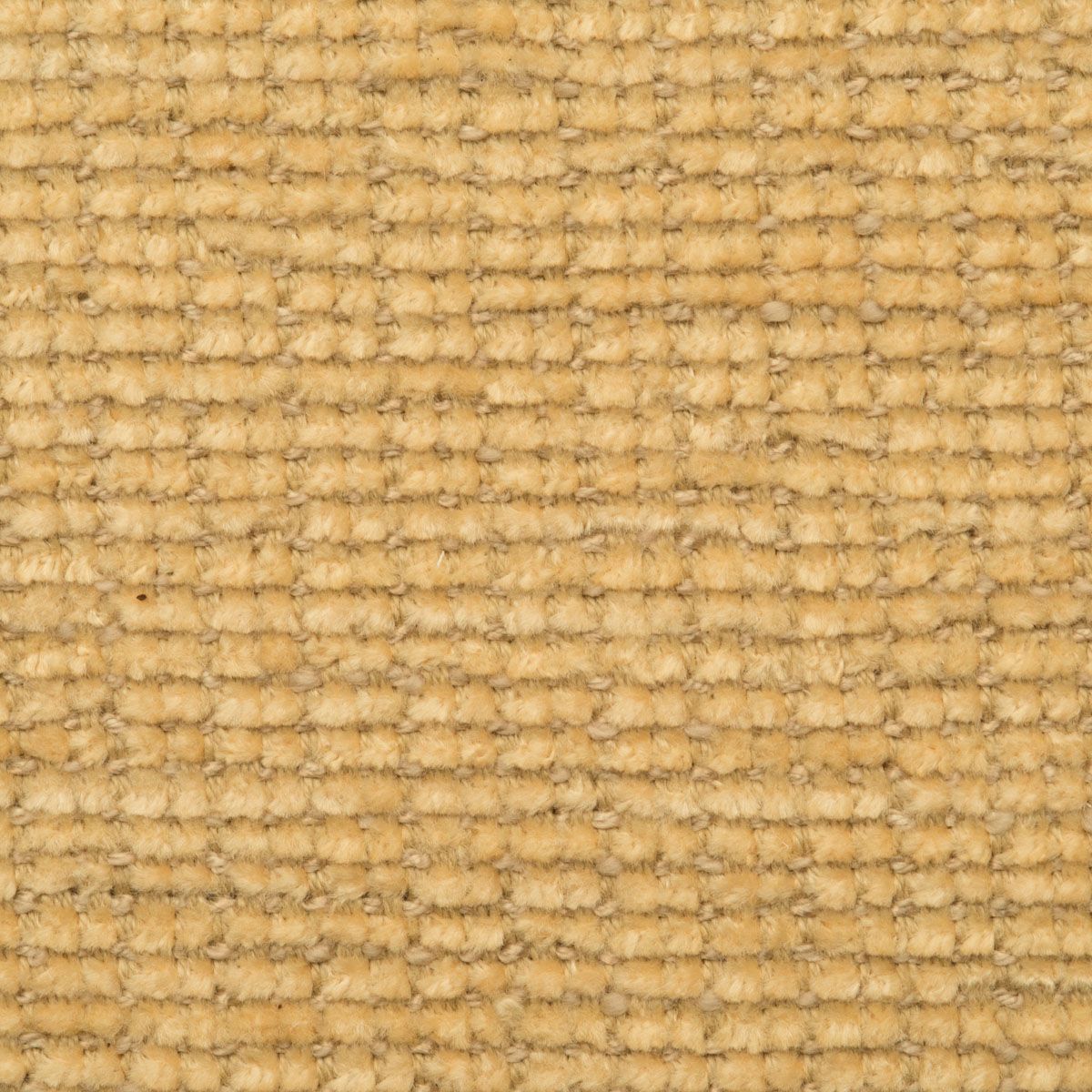 SCALAMANDRE OUTLET  FABRIC TIBURON CHENILLE  FABRIC GOLD   - HN 00YYW0393 NEW SKU # HNW039300YY