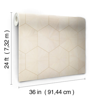York Wallcoverings Grasscloth and Natural Resource Hexagram Wood Veneer Ivory Wallpaper Feature Wall Wood Veneer Whites and Off-Whites   - HO2101GV