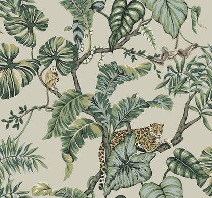 York Wallcoverings Traveler Jungle Cat Beige Wallpaper  Animals Neutrals   - HO2144