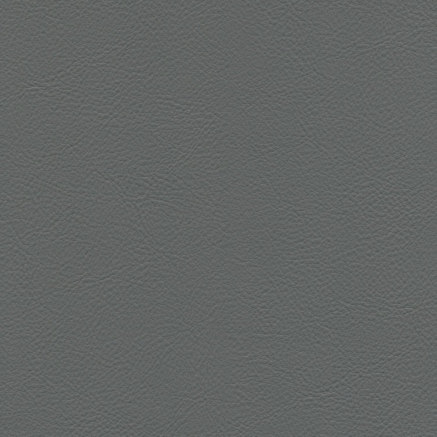 Gray opal faux leather with fine pebbled grain texture.
