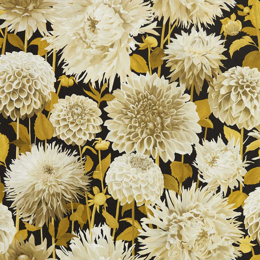 HARLEQUIN Dahlia Wallpaper Classic Floral Fig Blossom,Nectar,Black Earth  Gravure - Wide Width Printed Wallpaper - HQN2112846