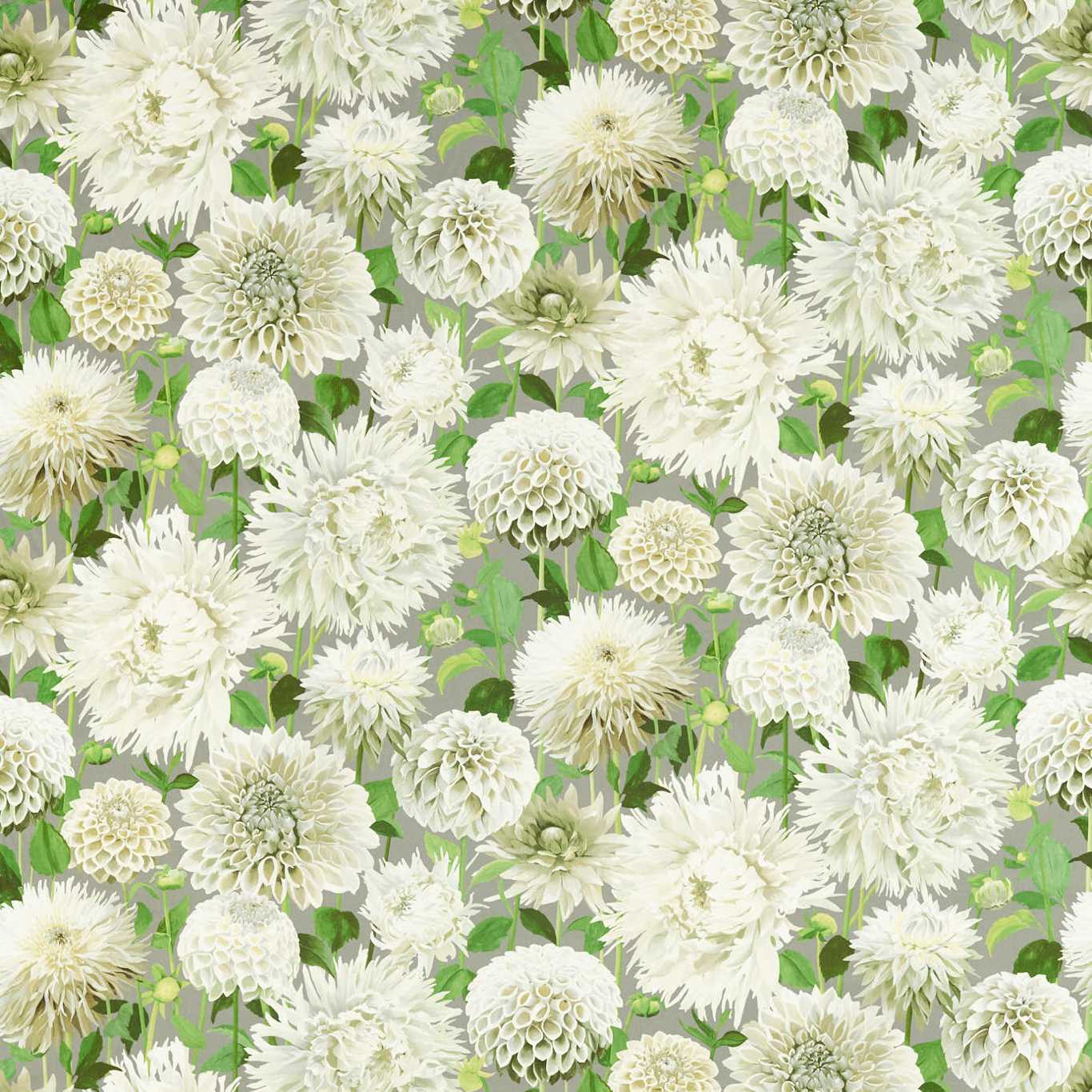 HARLEQUIN Dahlia Fabric Contemporary, Floral Sail Cloth,Meadow,Sketched   - HQN2121085