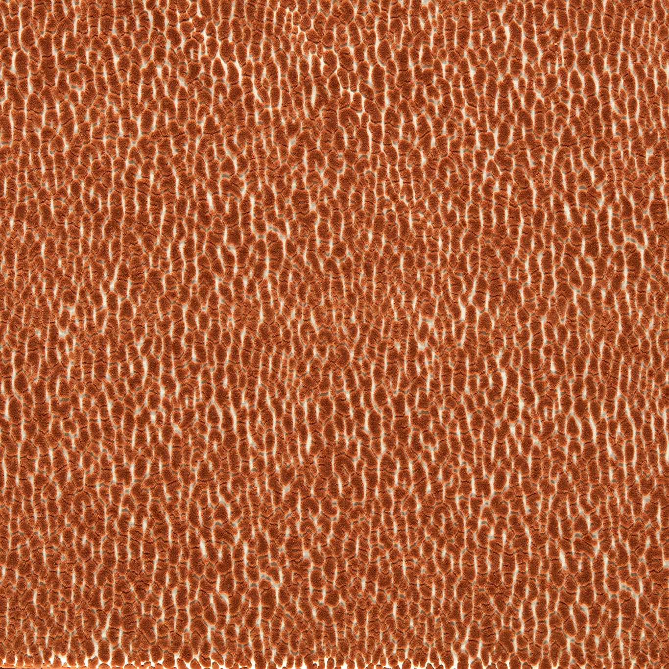 HARLEQUIN Lacuna Fabric Spots Tiger   - HRFV134034