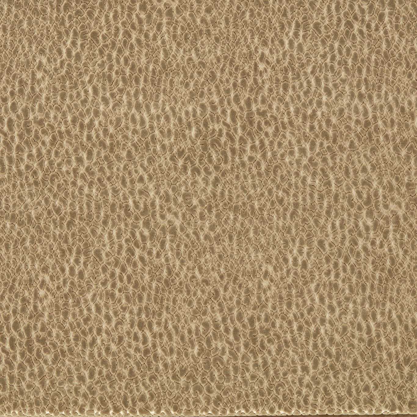 HARLEQUIN Lacuna Fabric Spots Taupe   - HRFV134035