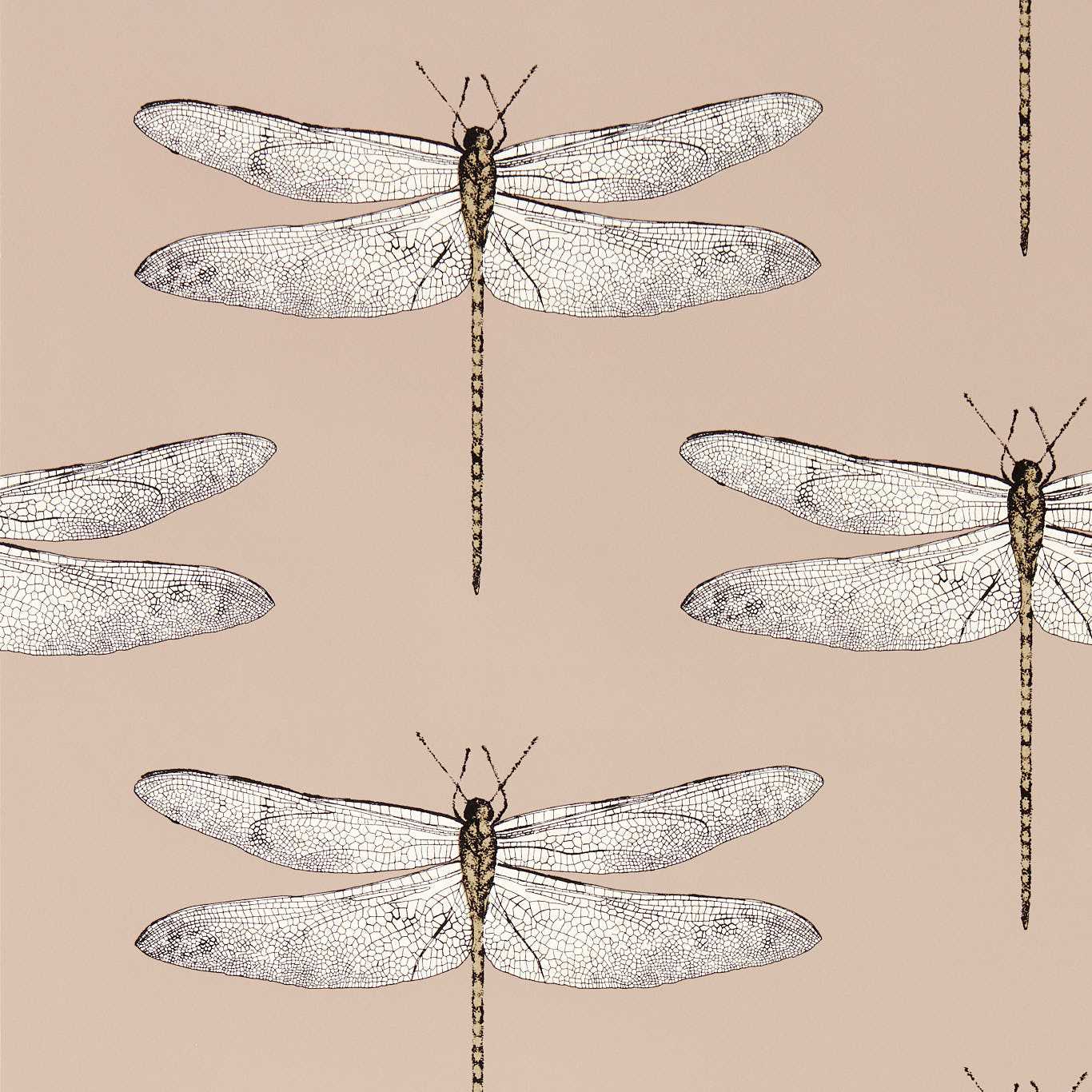 Taupe Demoiselle wallpaper — delicate dragonfly motif on beige‑taupe background, ideal for elegant, nature‑inspired interiors.