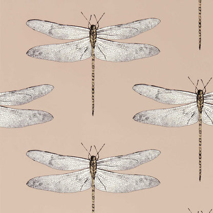 Taupe Demoiselle wallpaper — delicate dragonfly motif on beige‑taupe background, ideal for elegant, nature‑inspired interiors.