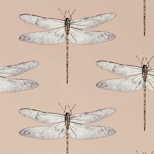 Taupe Demoiselle wallpaper — delicate dragonfly motif on beige‑taupe background, ideal for elegant, nature‑inspired interiors.