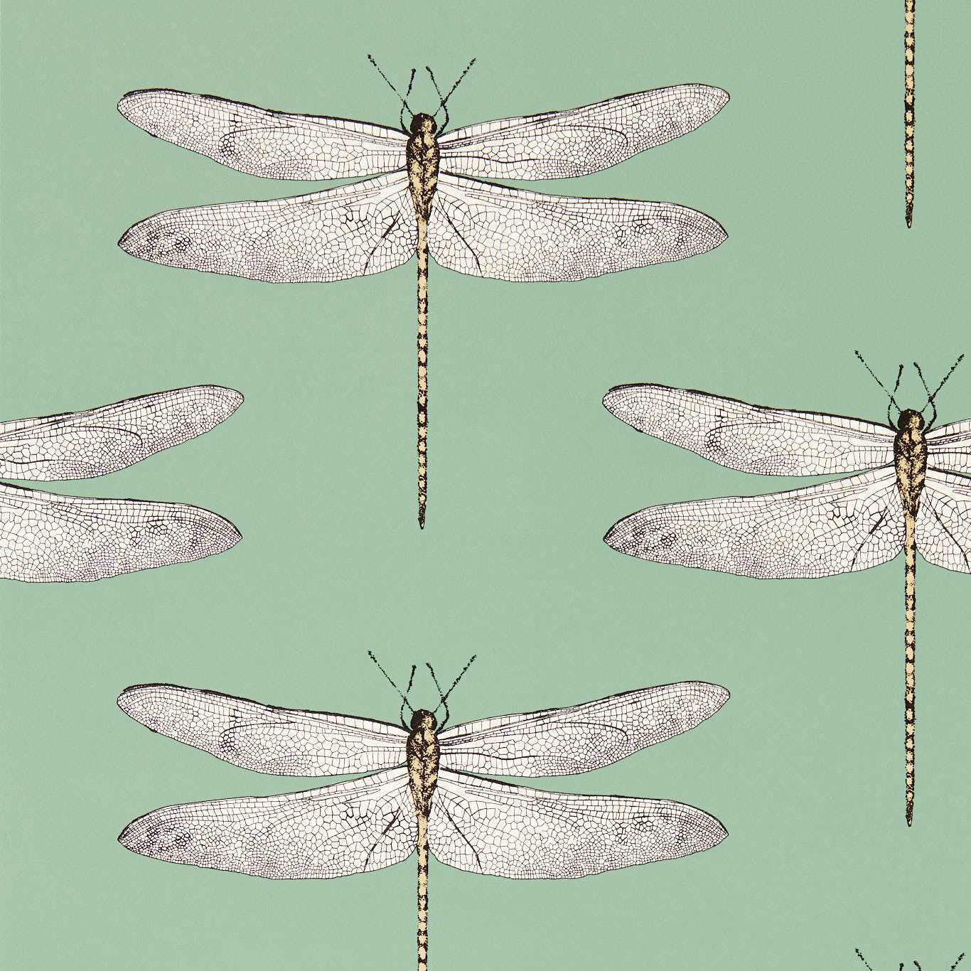 HARLEQUIN Demoiselle Wallpaper Animals Seaglass,First Light,Sand  Rotary/Gravure Wallpaper - HRTW113145