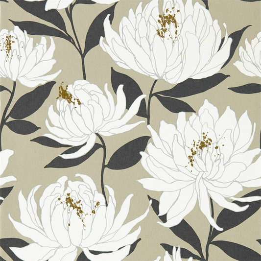 HARLEQUIN Sebal Wallpaper Contemporary, Floral Platinum,Ebony  Gravure Printed Wallpaper - HSAW112130