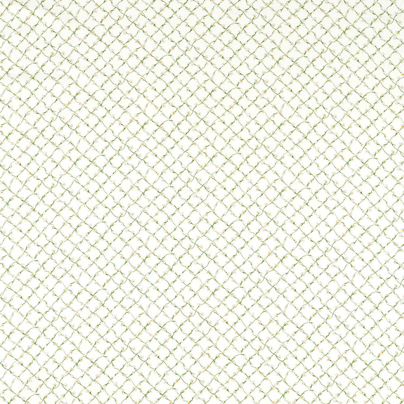 HARLEQUIN Daisy Trellis Fabric Classic Floral Emerald,Pearl   - HSRF121194