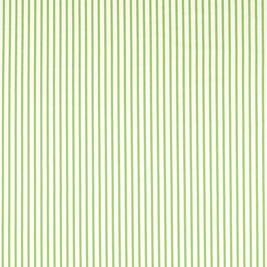 HARLEQUIN Ribbon Stripe Fabric Stripes Peridot   - HSRF133987
