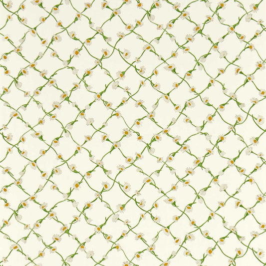 HARLEQUIN Daisy Trellis Wallpaper Classic Floral Emerald,Pearl  Gravure Printed Wallpaper - HSRW113043