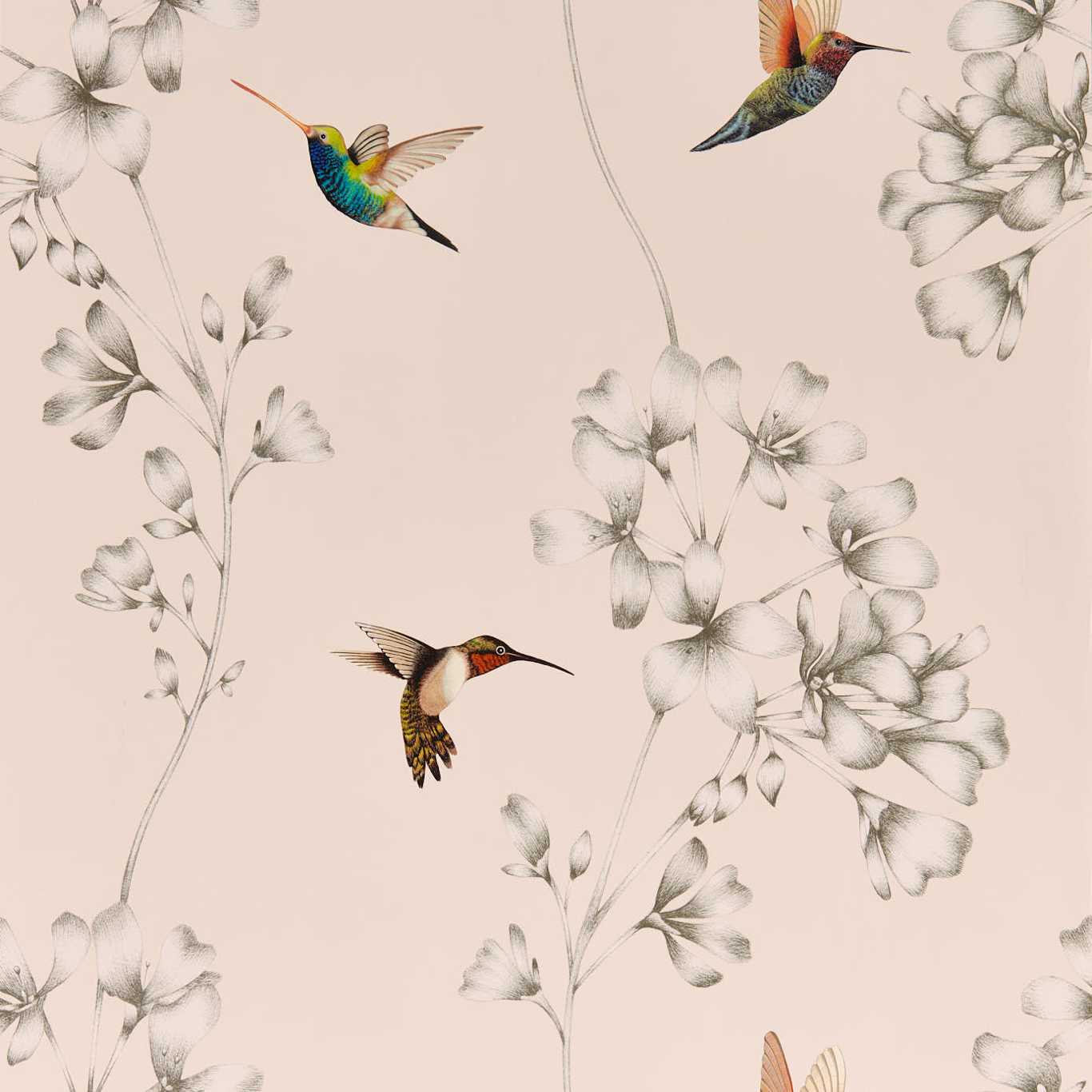 HARLEQUIN Amazilia Wallpaper Contemporary, Floral Powder,Pearl  Gravure - Wide Width Printed Wallpaper - HTEW112606