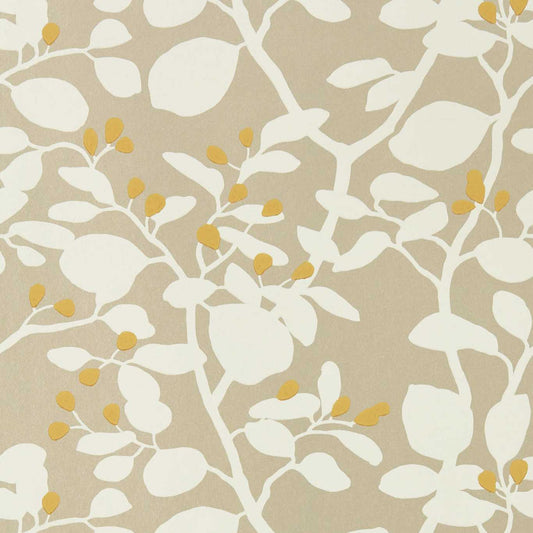 HARLEQUIN Ardisia Wallpaper Leaves , Trees Soft Focus,Oyster,Gold  Surface- Printed Wallpaper - HTEW112773