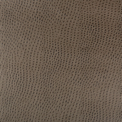 KRAVET DESIGN VINYL/FAUX LEATHER TEXTURE BRONZE,BRONZE,   - HUBBLE.106.0