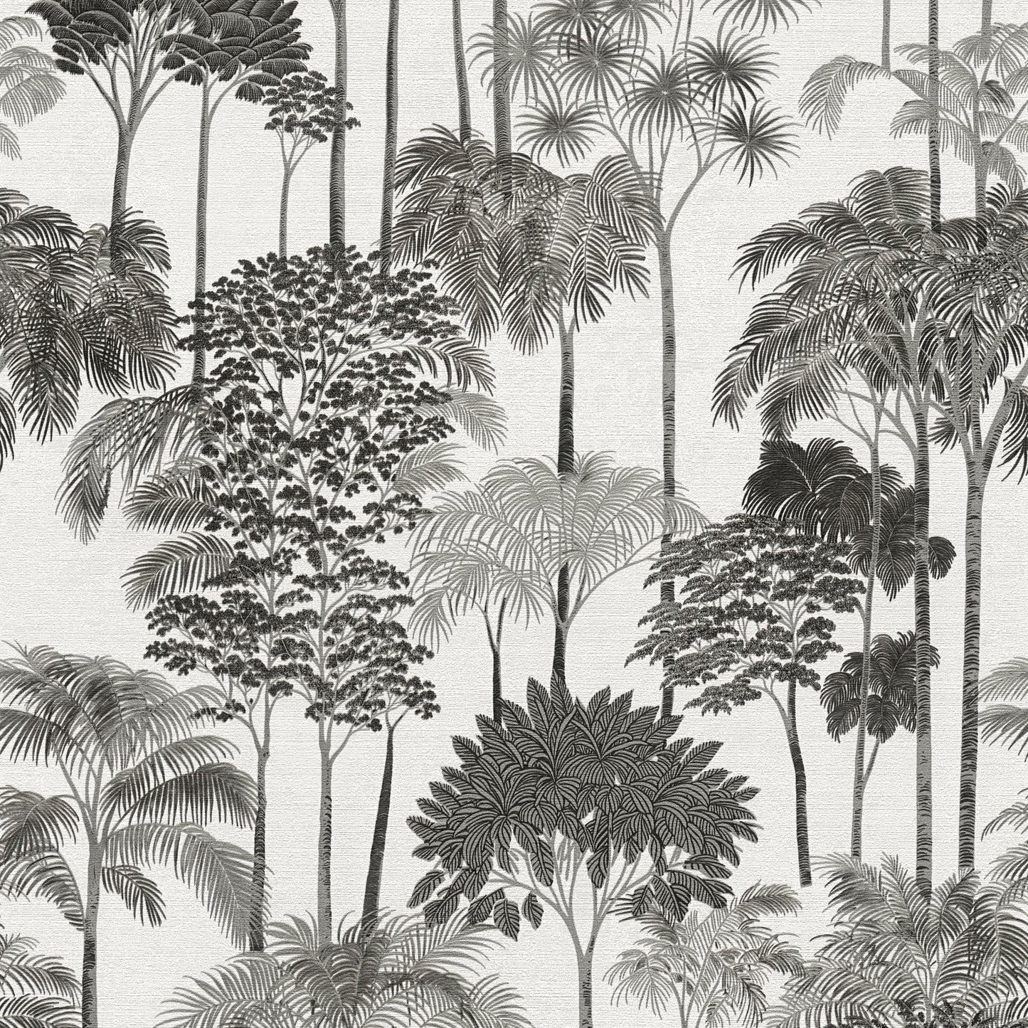 GALERIE WALLCOVERINGS Havana 2    Black   - HV41085