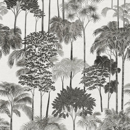 GALERIE WALLCOVERINGS Havana 2    Black   - HV41085
