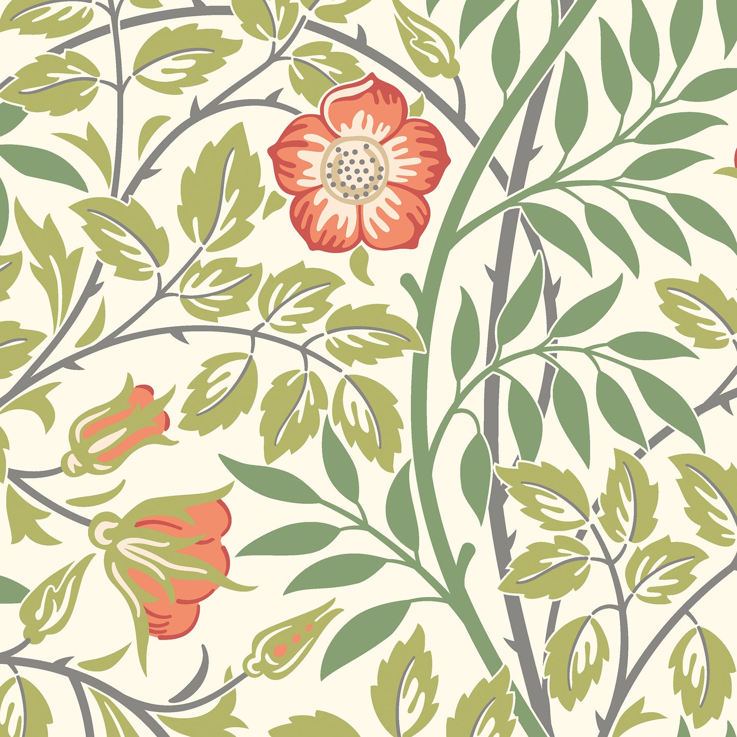 York Wallcoverings Hoopla Walls Rosehip Trail Coral Pink Peel and Stick Wallpaper Botanical Transitional Coral Pink  Current Peel & Stick - HWA1098PU