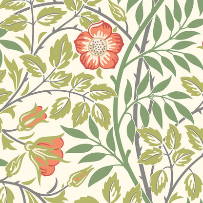 York Wallcoverings Hoopla Walls Rosehip Trail Coral Pink Peel and Stick Wallpaper Botanical Transitional Coral Pink  Current Peel & Stick - HWA1098PU