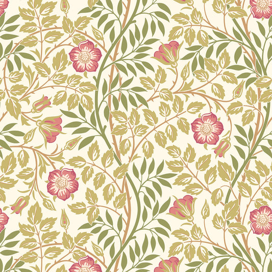 York Wallcoverings Hoopla Walls Rosehip Trail Rose Pink Peel and Stick Wallpaper Botanical Transitional Rose Pink  Current Peel & Stick - HWA1099PU