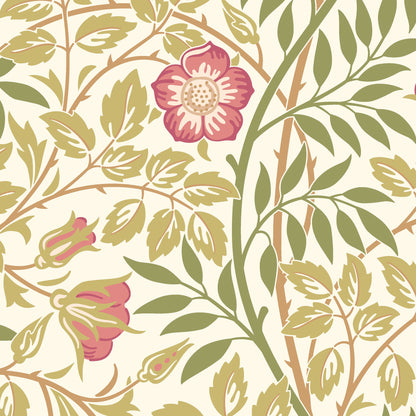 York Wallcoverings Hoopla Walls Rosehip Trail Rose Pink Peel and Stick Wallpaper Botanical Transitional Rose Pink  Current Peel & Stick - HWA1099PU