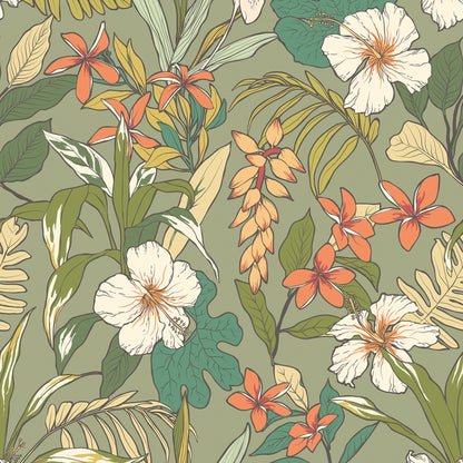 York Wallcoverings Hoopla Walls Oasis Olive & Citrus Peel and Stick Wallpaper Botanical Modern Olive & Citrus  Current Peel & Stick - HWA1204PU