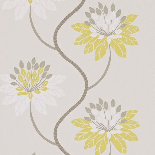 HARLEQUIN OUTLET Eloise Wallpaper Contemporary Floral Chartreuse,Warm Grey   - HWHI111190
