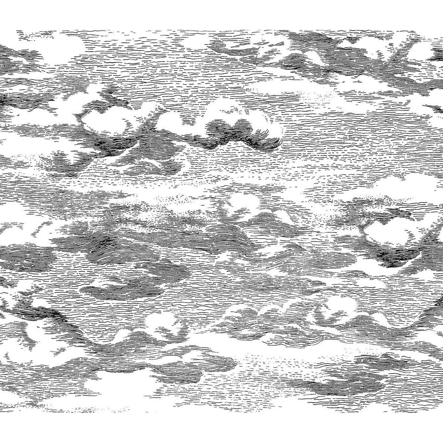 Harry & Grace Harry & Grace Peel and Stick Clouds Illustration Contemporary Black Semi-Gloss Sidewall - HG11200