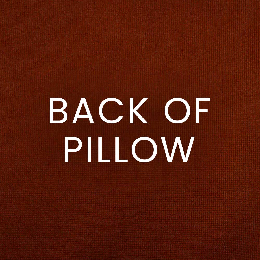 White text 'BACK OF PILLOW' on burnt orange textured pillow fabric.