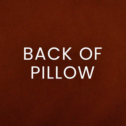 White text 'BACK OF PILLOW' on burnt orange textured pillow fabric.