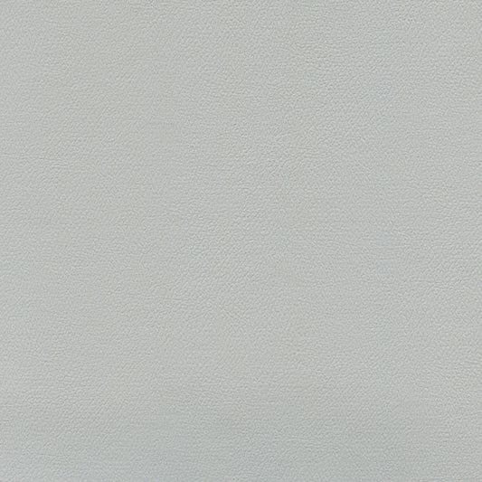 NICHOLASJOHN INC NJ-ERIKA Platinum Solid   Fabric - NJ25-1655