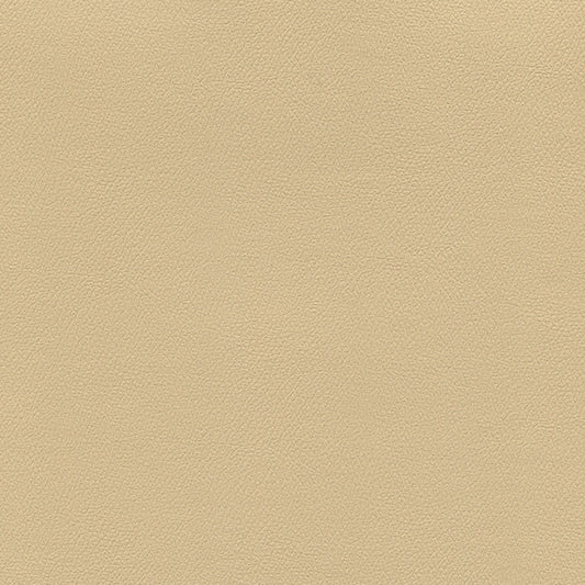 NICHOLASJOHN INC NJ-ERIKA Camel Solid   Fabric - NJ25-1680