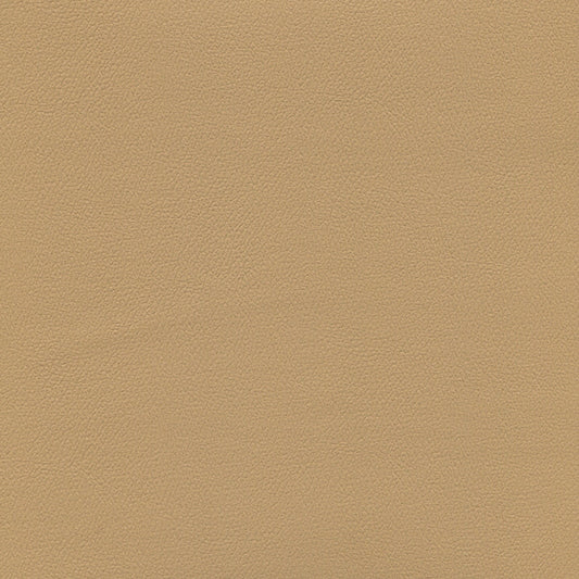 NICHOLASJOHN INC NJ-ERIKA Sand Solid   Fabric - NJ25-1693