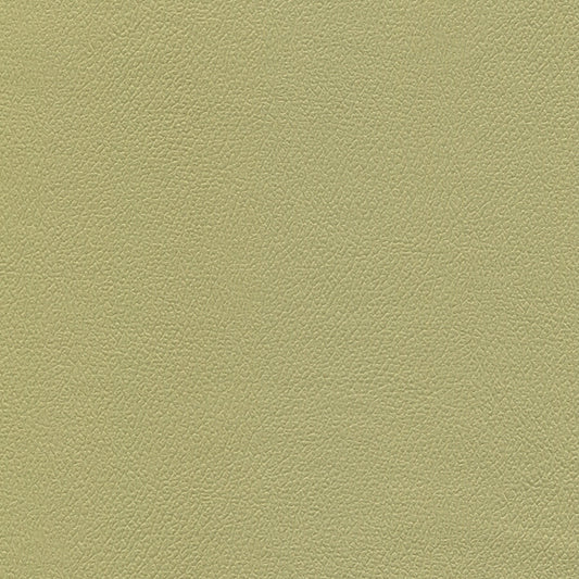NICHOLASJOHN INC NJ-ERIKA Baby Greens Solid   Fabric - NJ25-1697