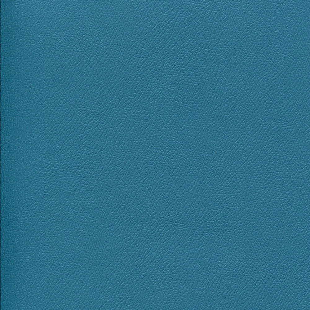 NICHOLASJOHN INC NJ-ERIKA Cabana Boy Solid   Fabric - NJ25-1703